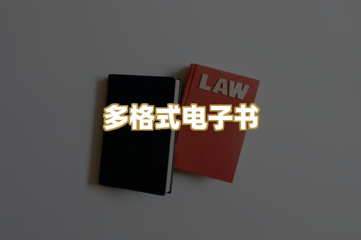 多格式电子书
